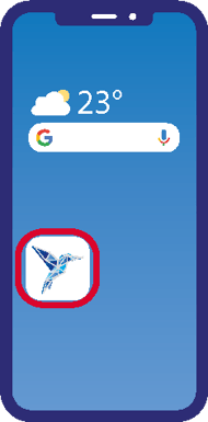écran Newcard 